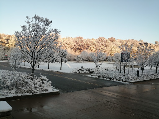 Insurance Company «American Family Insurance», reviews and photos