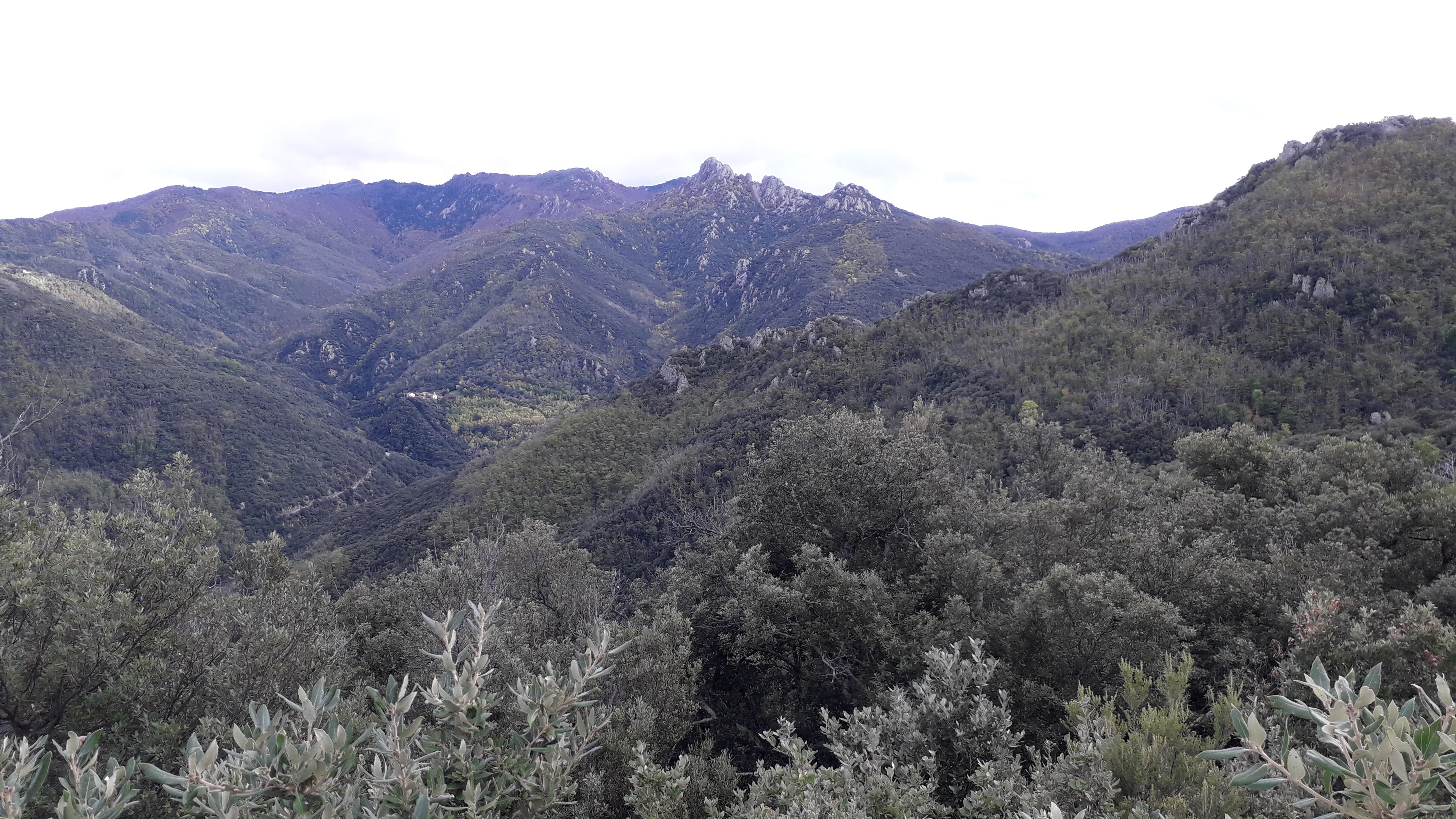 Photo n° 3 de l'avis de marie.r fait le 07/11/2019 à 10:31