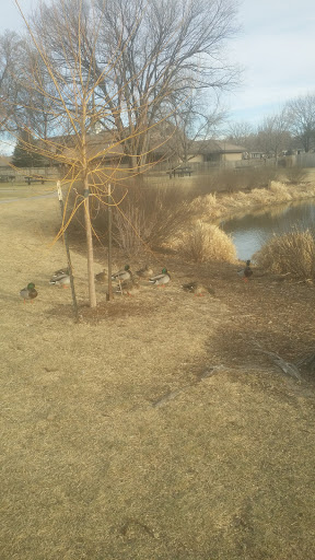 Park «Dublin Park», reviews and photos, 2450 Roundtop Dr, Colorado Springs, CO 80918, USA