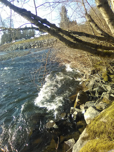 Golf Course «Riverside Disc Golf Course», reviews and photos, 7926 Riverside Rd E, Sumner, WA 98390, USA