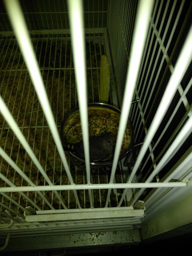 Pet Supply Store «Pet Supplies Plus», reviews and photos, 700 Boston Rd Suite 12b, Billerica, MA 01821, USA