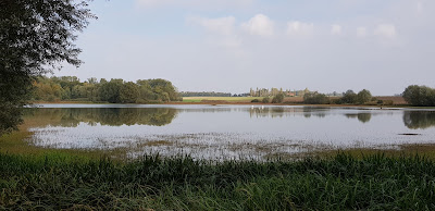 étang des LAVARDS à Dosches