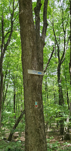 Nature Preserve «Ragged Mountain Memorial Preserve», reviews and photos, 240 Kensington Rd, Berlin, CT 06037, USA