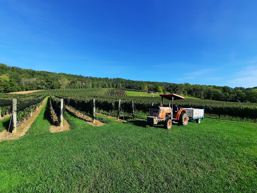 Winery «Alba Vineyard», reviews and photos, 269 Riegelsville Warren Glen Rd, Milford, NJ 08848, USA