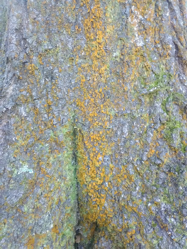 Public Golf Course «Lagoon Park Golf Course», reviews and photos, 2855 Lagoon Park Dr, Montgomery, AL 36109, USA