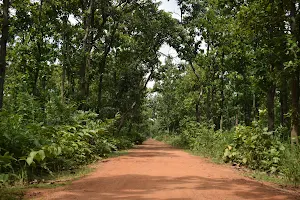 Aduria Forest image