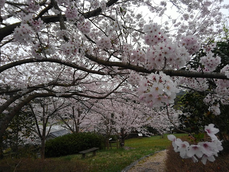 小田貝塚遺跡公園