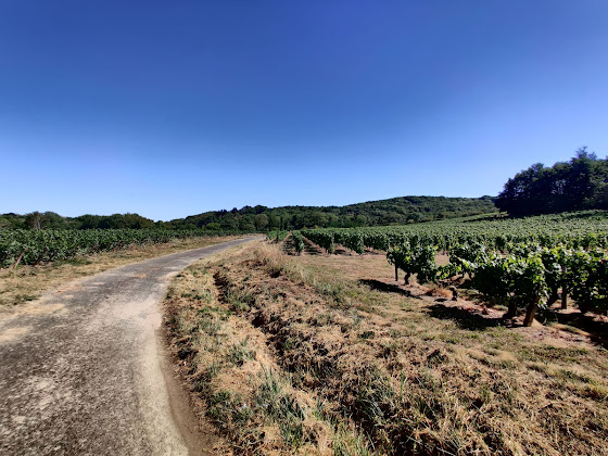 Photos des visiteurs Holiday home Les Vignes de Paris - maison de vacances 71150 Paris-l'Hôpital