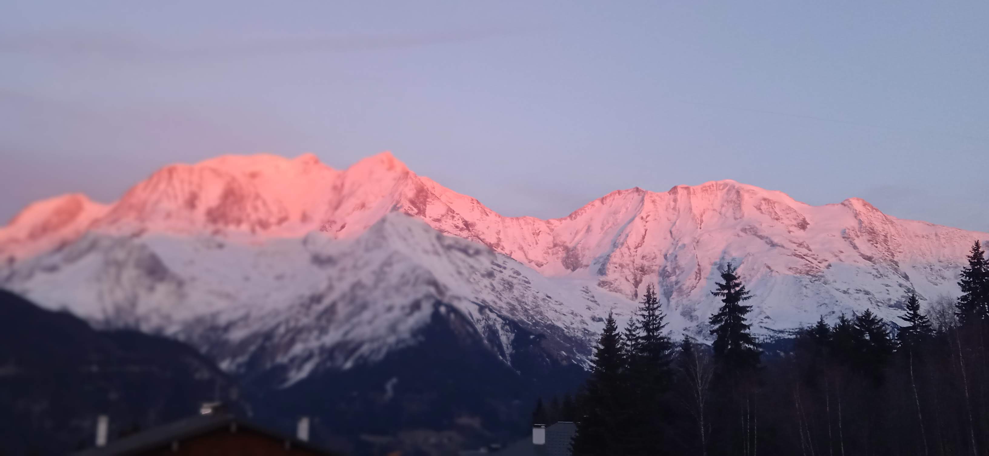 Photo n° 1 de l'avis de de.o fait le 25/04/2022 à 06:29