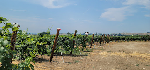 Vineyard «HAT Ranch Winery and Vineyard», reviews and photos, 15343 Plum Rd, Caldwell, ID 83607, USA