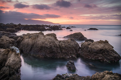 Wellington Photographic Society