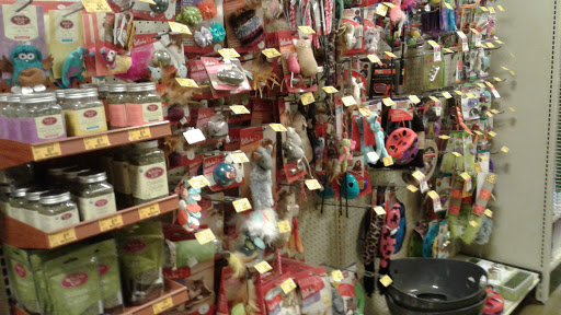 Pet Supply Store «PetSmart», reviews and photos, 860 NE Mall Blvd, Hurst, TX 76053, USA