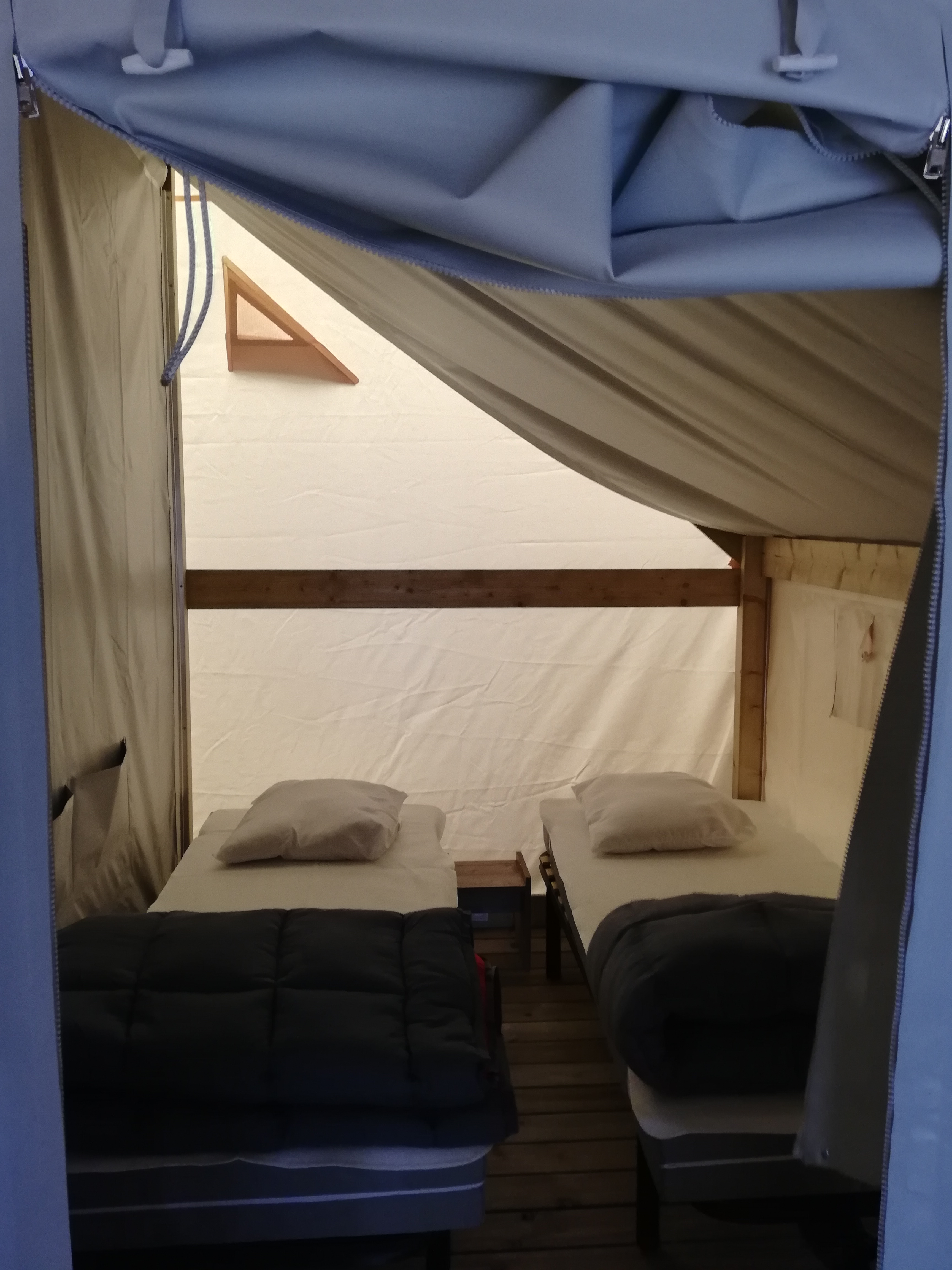 Photo n° 2 de l'avis de Taz. fait le 03/07/2019 à 09:20