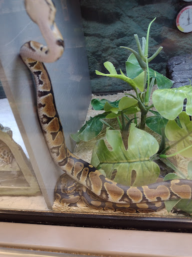 Pet Supply Store «Petco Animal Supplies», reviews and photos, 3680 Spencer Hwy, Pasadena, TX 77504, USA