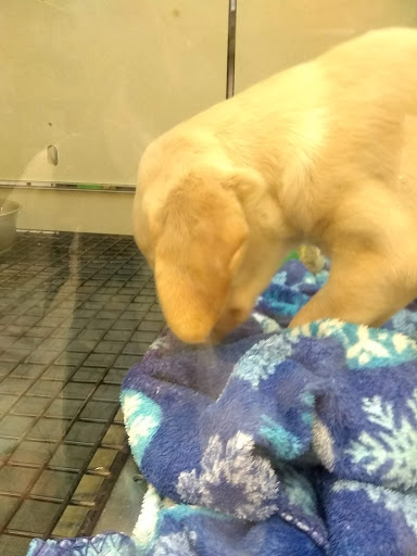 Pet Supply Store «Pets R Inn», reviews and photos, 3902 13th Ave S #3701, Fargo, ND 58103, USA