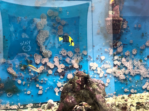 Tropical Fish Store «Tropical Treasures», reviews and photos, 2212 E Platte Ave, Colorado Springs, CO 80909, USA