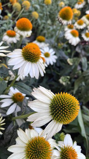 Home Improvement Store «The Home Depot», reviews and photos, 32525 Northwestern Hwy, Farmington Hills, MI 48334, USA