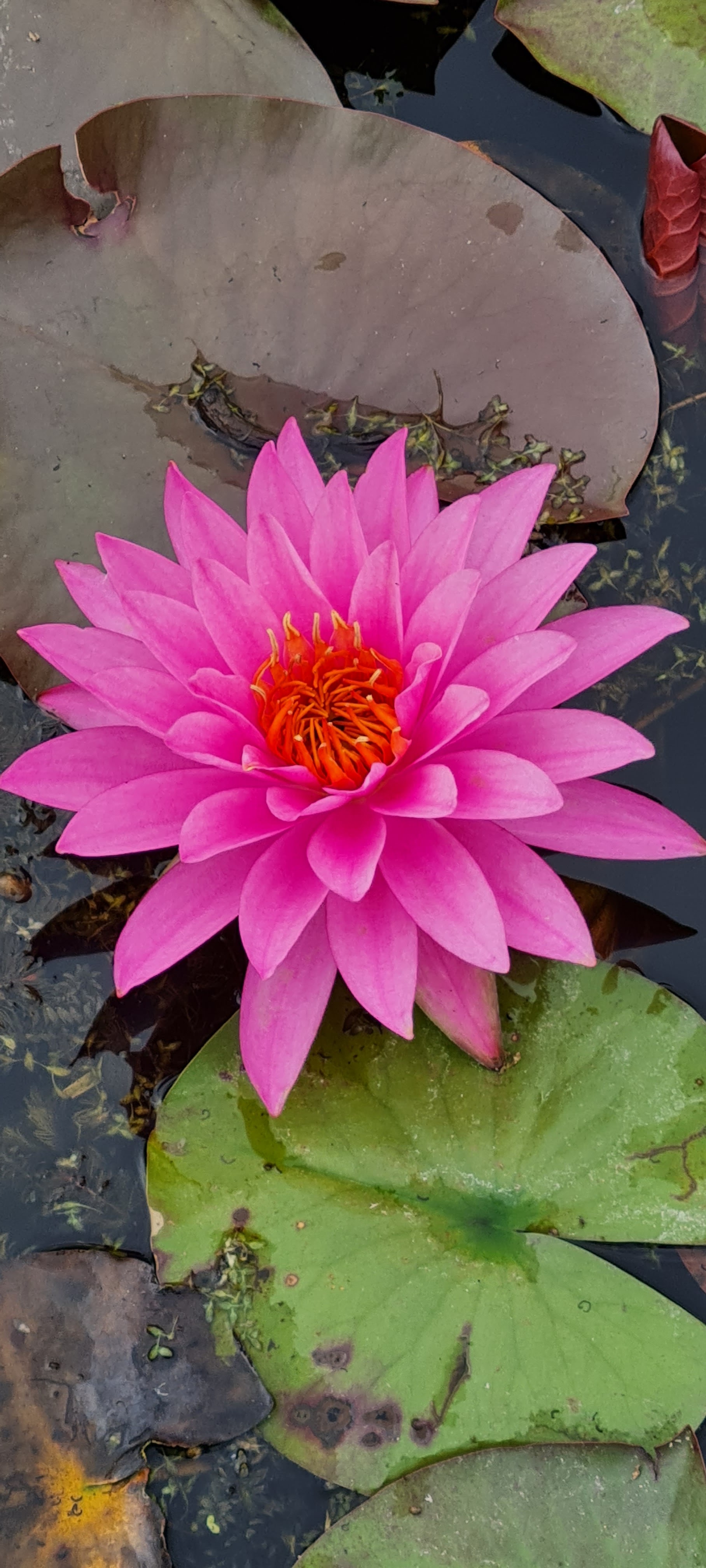 Photo n° 4 de l'avis de Florence.o fait le 22/06/2022 à 08:38