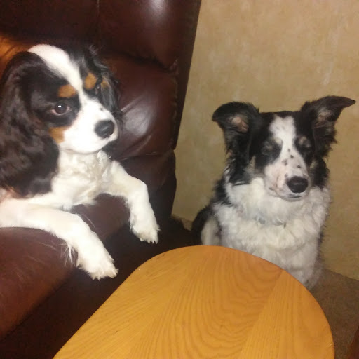 Festival «Spirit of the Suwannee Music Park», reviews and photos, 3076 95th Dr, Live Oak, FL 32060, USA