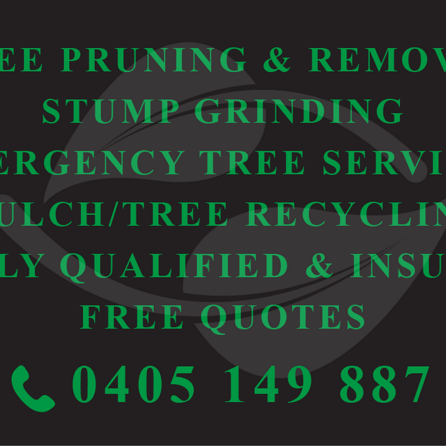 Best service for Tree Lopping in Bateau Bay