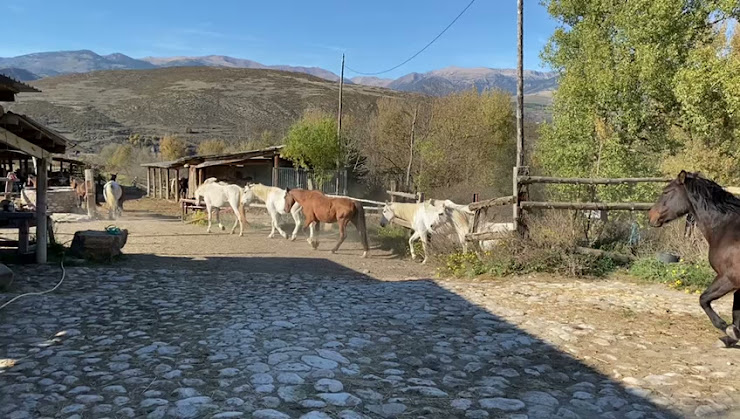 Vidéos Hébergement d'intérieur Xalet la Molina 17537 La Molina