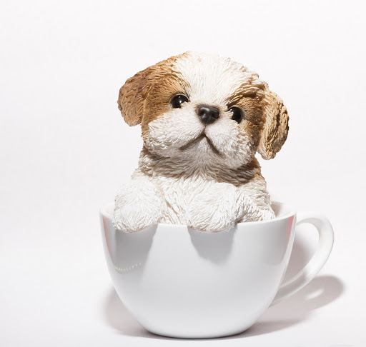 Explore yin and yang tattoo ideas, creative tattoo ideas in San Leandro, available at Orbit Skate and Boutique- Skate Shop & Piercing Shop in San Leandro, CA