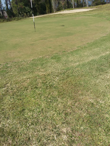 Golf Course «Swiss Fairways Golf Course», reviews and photos, 13114 Skiing Paradise Blvd, Clermont, FL 34711, USA