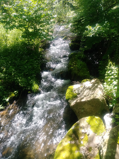 Gift Shop «Stonehedge Gardens», reviews and photos, 51 Dairy Rd, Tamaqua, PA 18252, USA