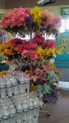 Dollar Store «Dollar Tree», reviews and photos, 2044 Victory Blvd, Portsmouth, VA 23702, USA