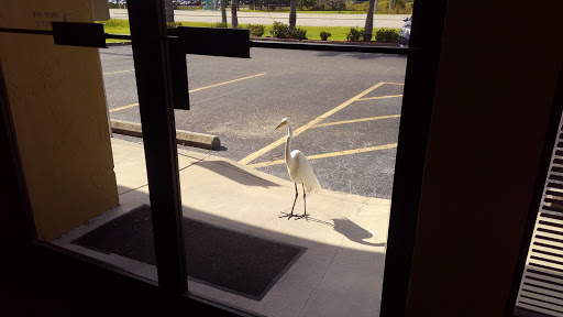 Auto Body Shop «Caliber Collision», reviews and photos, 2200 US-301 #1, Palmetto, FL 34221, USA