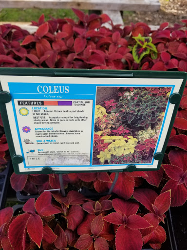 Florist «Lyndhurst Florist», reviews and photos, 5268 Mayfield Rd, Lyndhurst, OH 44124, USA