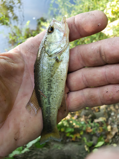 Park «Post Park», reviews and photos, 451 Unqua Rd, Massapequa Park, NY 11762, USA