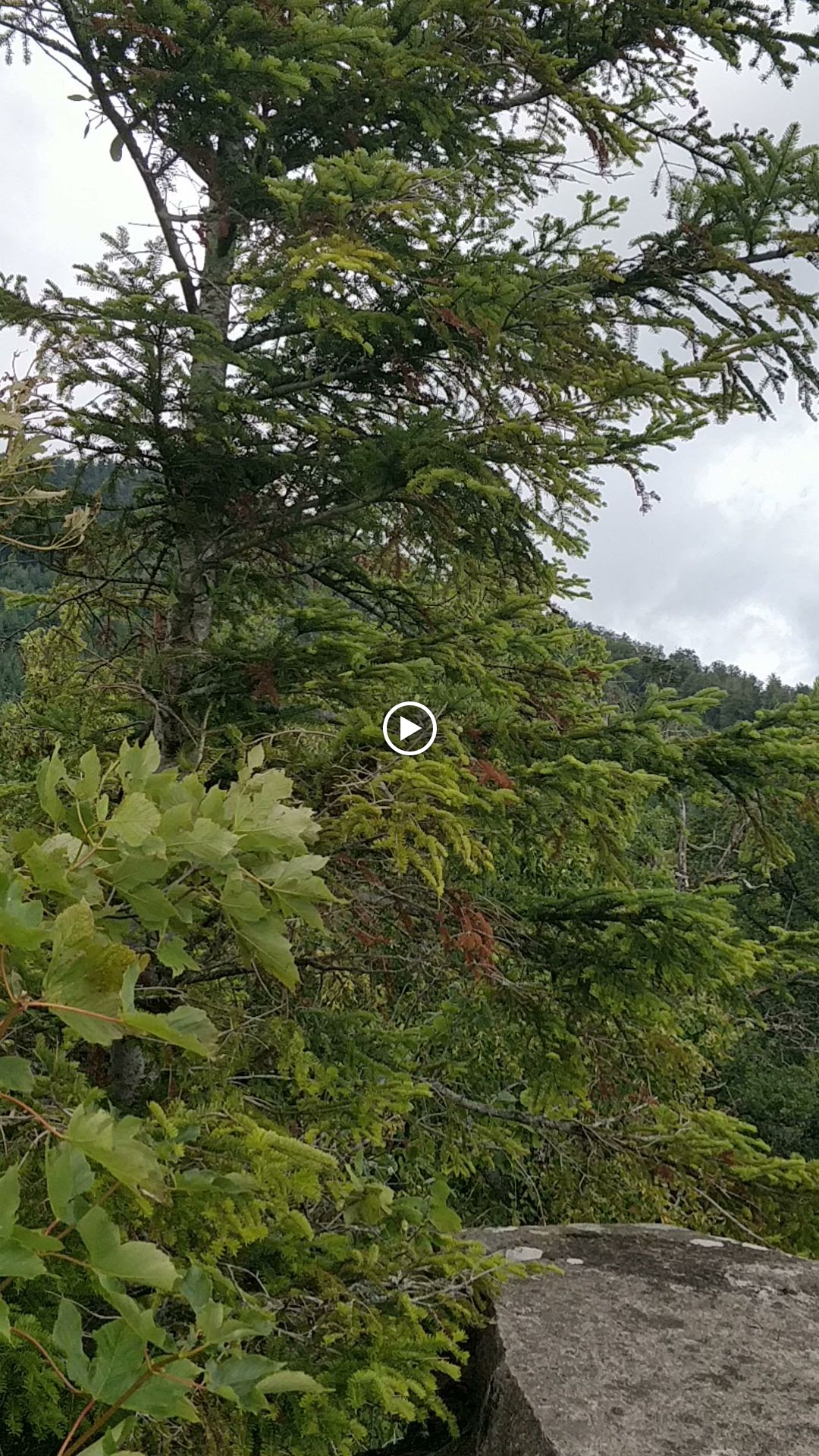 Photo n° 8 de l'avis de Annie.G fait le 25/08/2023 à 06:47