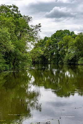 Bac à chaine à Saint-Pavace