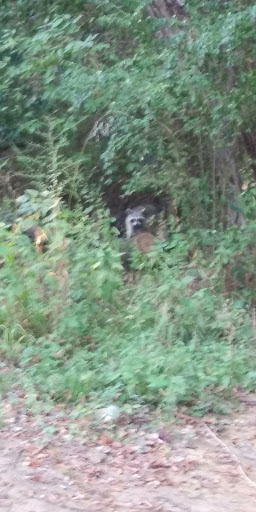 Park «Turner Park», reviews and photos, 600 N Belt Line Rd, Grand Prairie, TX 75050, USA