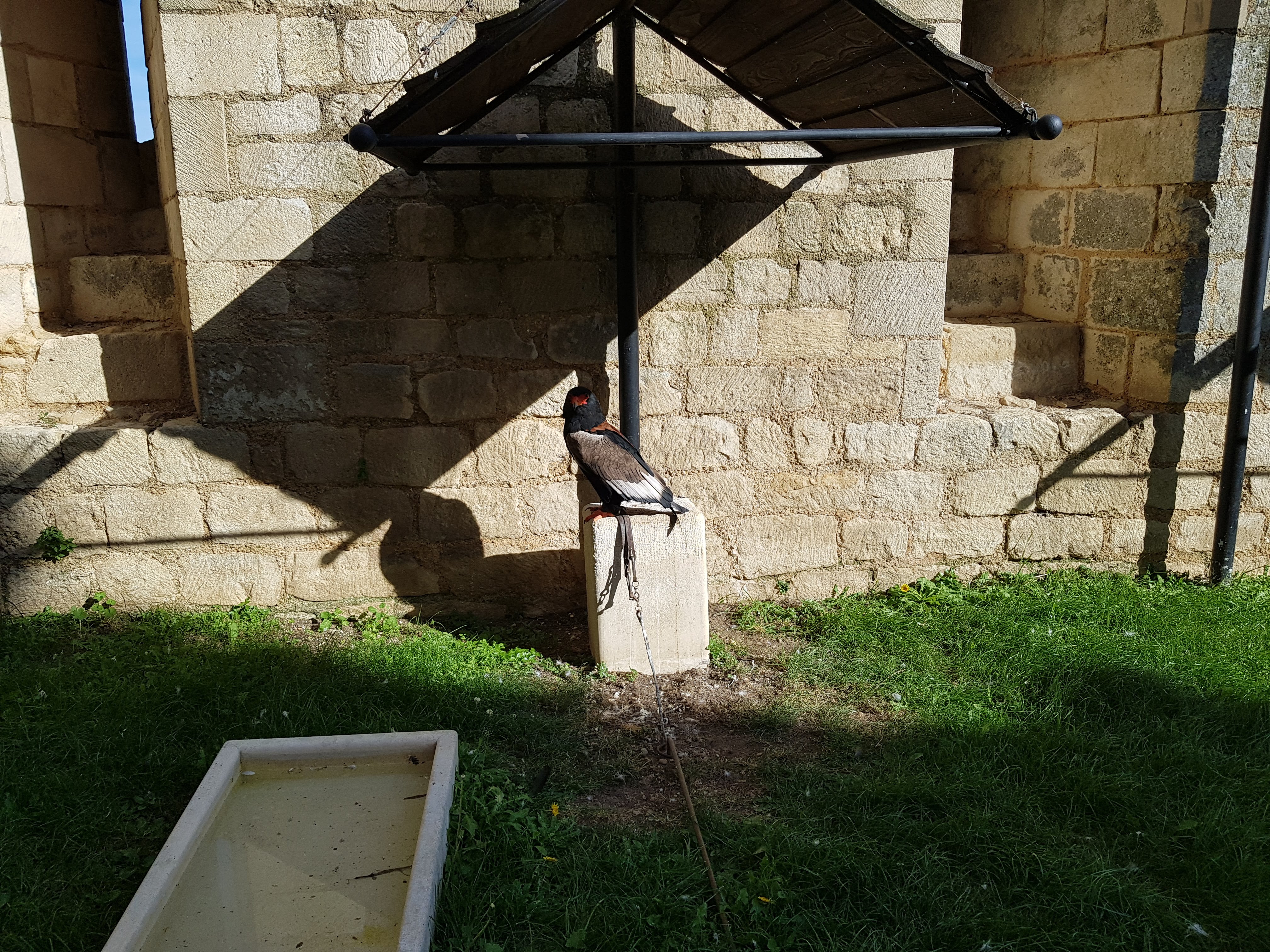 Photo n° 26 de l'avis de Alexandre.L fait le 24/09/2017 à 17:00