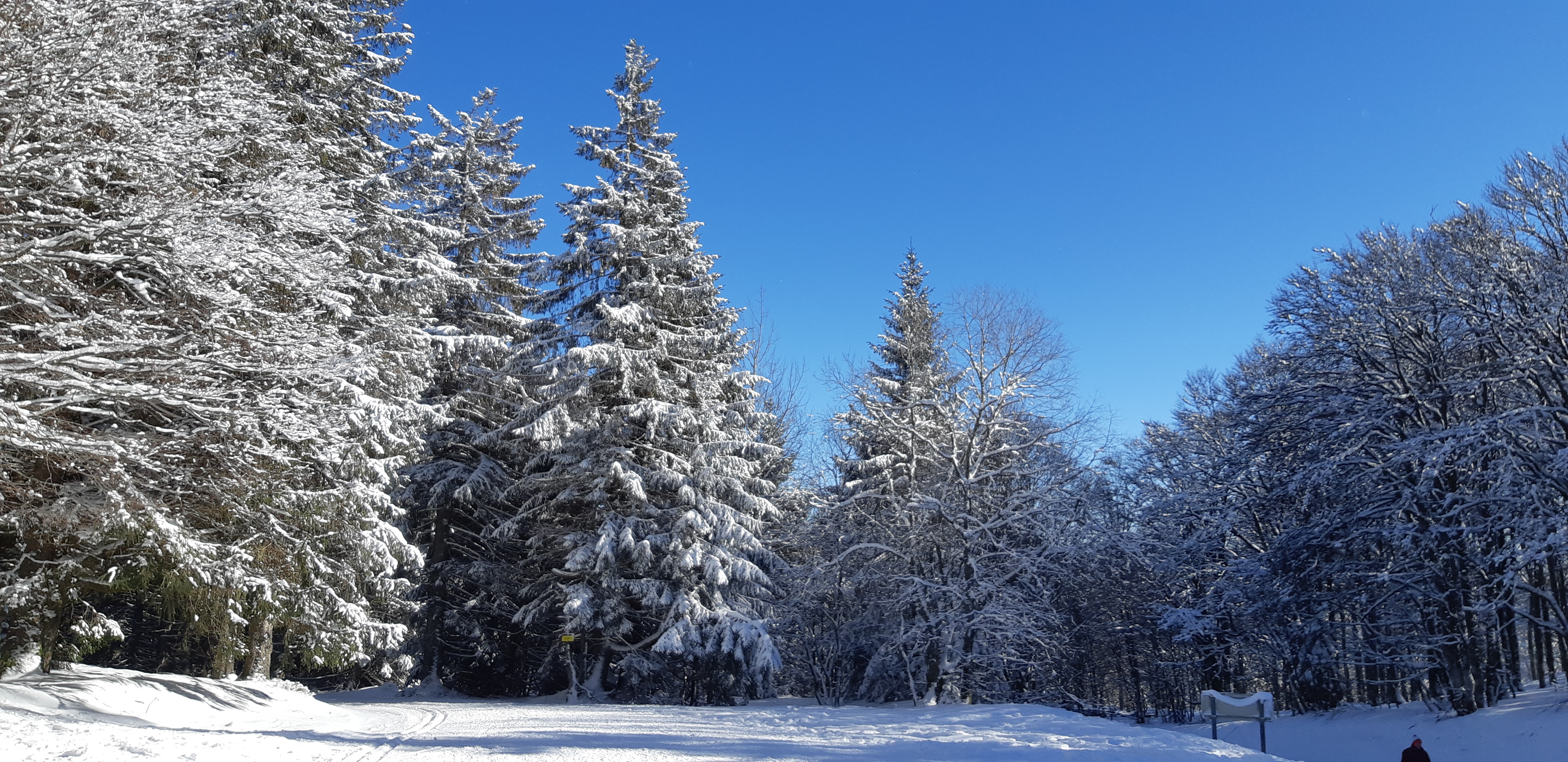Photo n° 11 de l'avis de Patricia.t fait le 24/12/2017 à 19:48