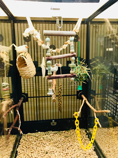 Pet Supply Store «PetSmart», reviews and photos, 24 Countryside Plaza, Countryside, IL 60525, USA