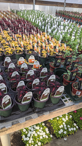 Garden Center «Lake Anna Nursery», reviews and photos, 71 Oak Grove Dr, Mineral, VA 23117, USA