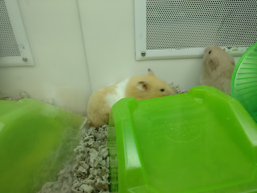 Pet Supply Store «Petco Animal Supplies», reviews and photos, 3012 Bridgepointe Pkwy, San Mateo, CA 94404, USA