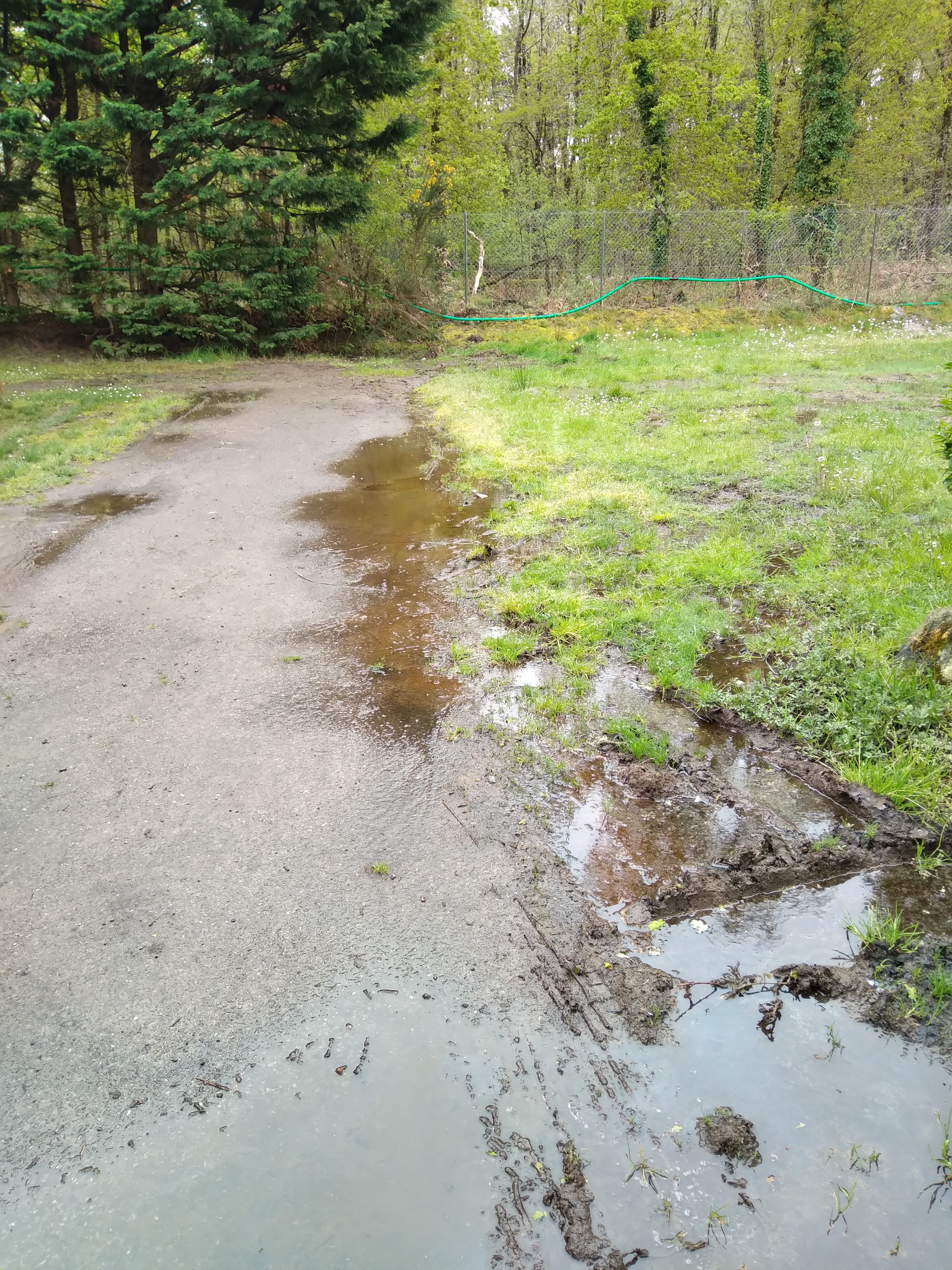 Photo n° 4 de l'avis de nel.e fait le 29/04/2023 à 16:28