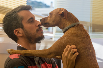 Doggy Educador Canino en Puerto de la Torre