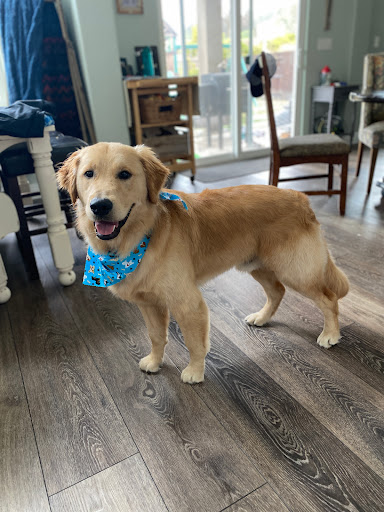 Barks & Bubbles Boutique & Spa