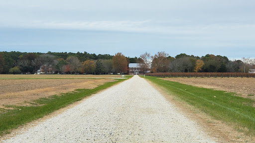 Vineyard «Chatham Vineyards & Winery», reviews and photos, 9232 Chatham Rd, Machipongo, VA 23405, USA