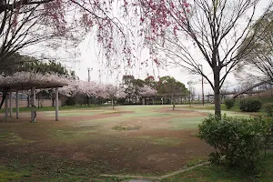 Saigawa Park image