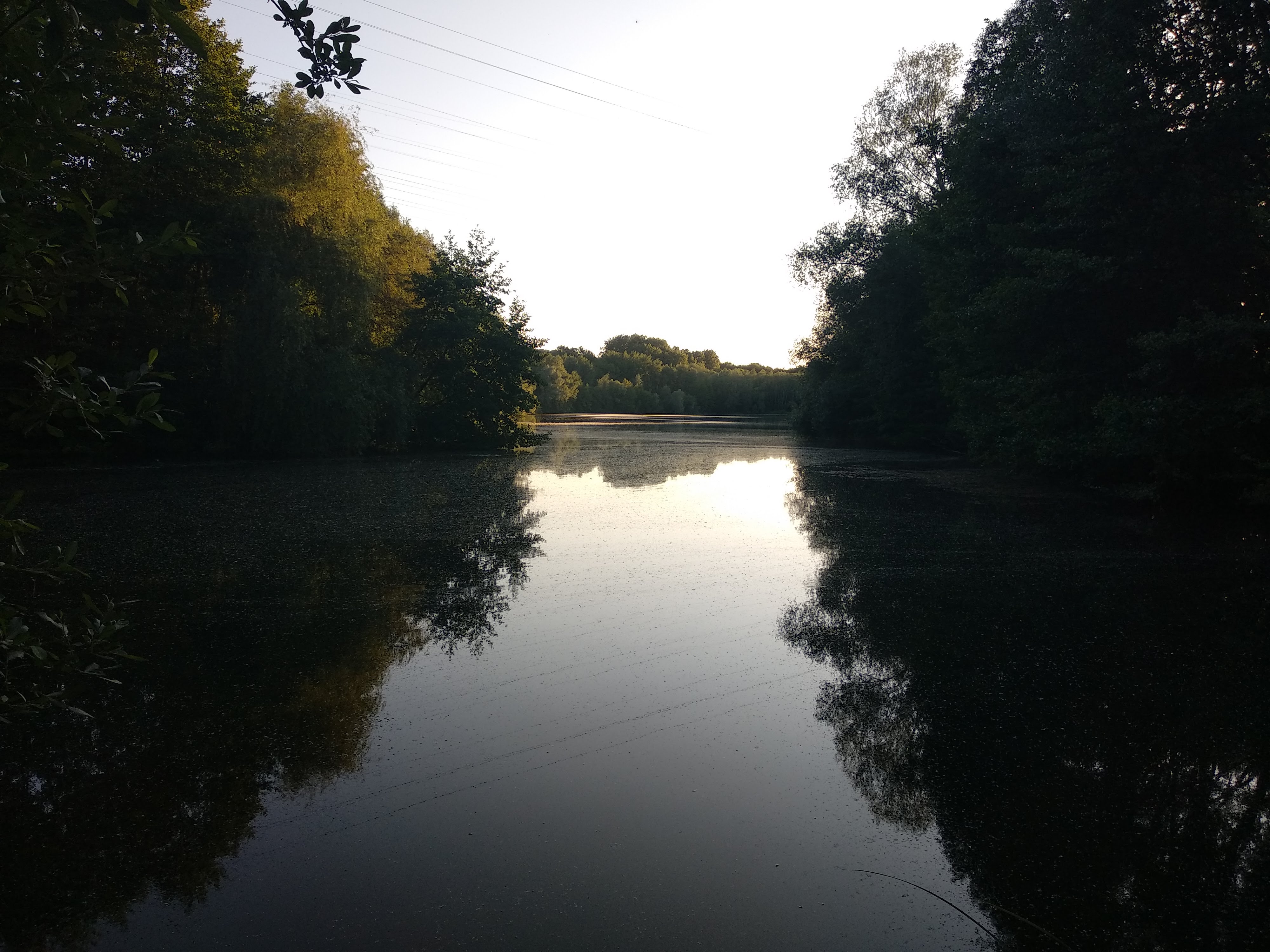 Photo n° 15 de l'avis de Taras.a fait le 17/06/2019 à 05:19