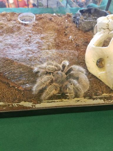 Pet Supply Store «Petco Animal Supplies», reviews and photos, 9270 Joliet Rd #400, Hodgkins, IL 60525, USA