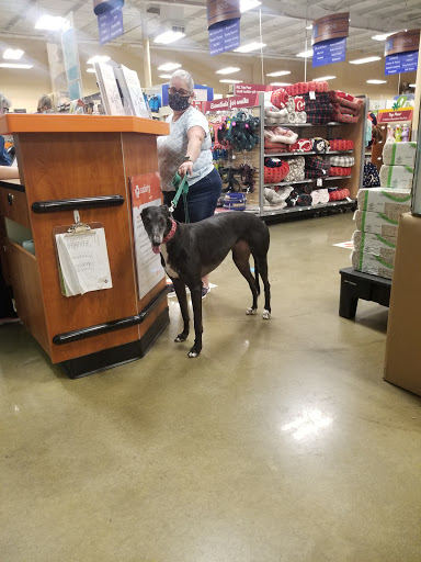Pet Supply Store «PetSmart», reviews and photos, 9905 E Independence Blvd, Matthews, NC 28105, USA