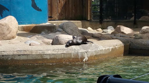 Zoo «Utica Zoo», reviews and photos, 1 Utica Zoo Way, Utica, NY 13501, USA