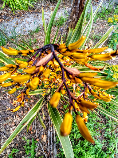 Market «La Honda Market», reviews and photos, 8865 La Honda Rd, La Honda, CA 94020, USA